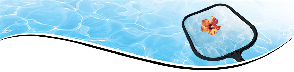 Category Header