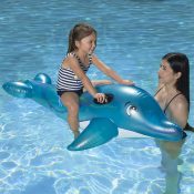 81760 | Dolphin Jumbo Rider - Lifestyle 2