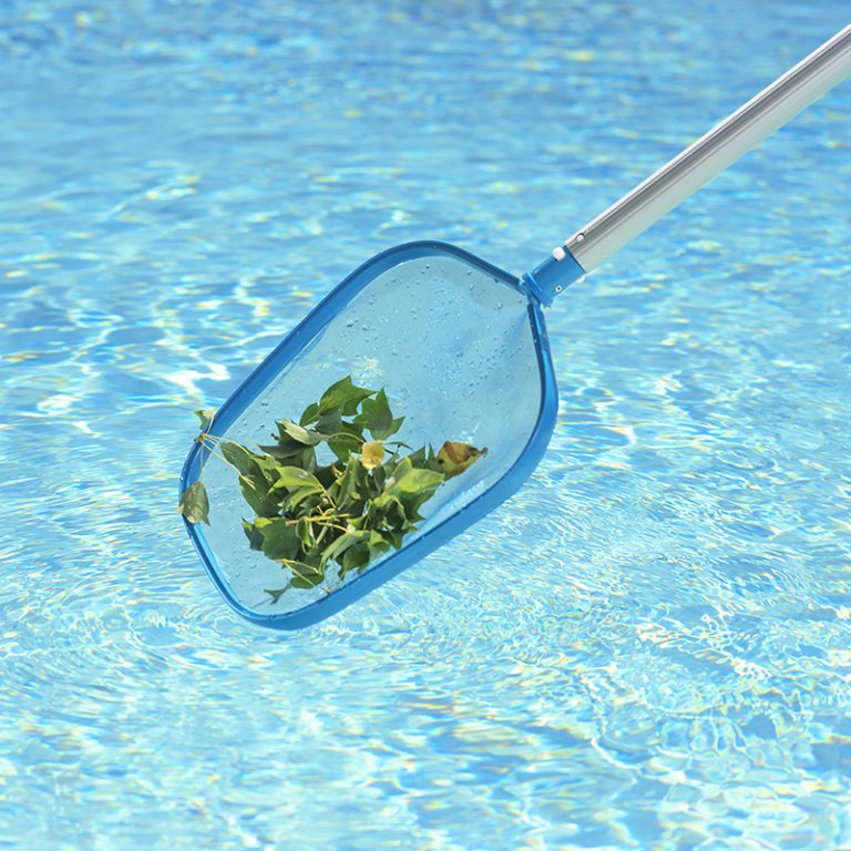 leaf skimmer for swimming pool