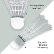 Deluxe Badminton Set