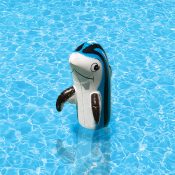 81445 | Dolphin Family of Pool Décor - Lifestyle 3