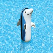 81440 | Dolphin Family of Pool Décor - 36'' - Lifestyle 1