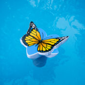 Butterfly Chlorine Dispensers