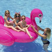 83678LSFlamingoIslandProfile2019TwoGirlsOneAdult2RGB800px