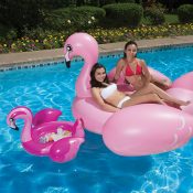 54533 | Flamingo Beverage Tub - Lifestyle 9