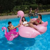 54533 | Flamingo Beverage Tub - Lifestyle 8
