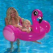 81539 | Flamingo Baby Rider - Lifestyle 1