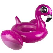 Flamingo Baby Rider
