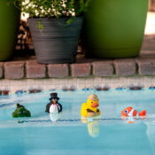 Floating Character Thermometers