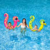 seahorse noodle 2 pack