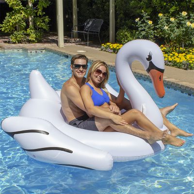 Jumbo Swan - Image 18