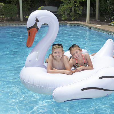 Jumbo Swan - Image 6