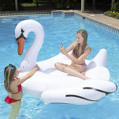 Jumbo Swan - Image 8