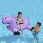 81702 | Happy Hippo Rider - Lifestyle 2