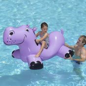 81702 | Happy Hippo Rider - Lifestyle 3