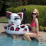 87156 | 48'' Pretty Kitty Tube - Lifestyle 3