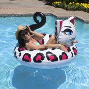 87156 | 48'' Pretty Kitty Tube - Lifestyle 2