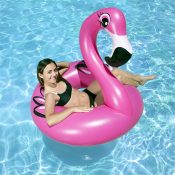 87162 | 48'' Flamingo Tube - Lifestyle 1