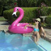 87162 | 48'' Flamingo Tube - Lifestyle 2