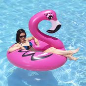 87162 | 48'' Flamingo Tube - Lifestyle 3