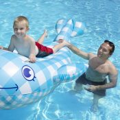Willy the Whale