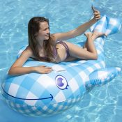 Willy the Whale