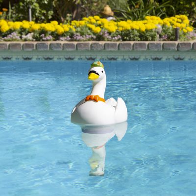 Character Chlorine Dispensers - Image 4