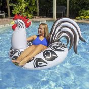 48" Rooster Party Float