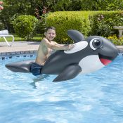 Jumbo Whale Rider
