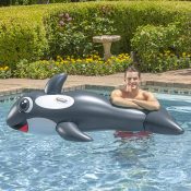 Jumbo Whale Rider