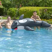 Jumbo Whale Rider