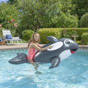 Jumbo Whale Rider