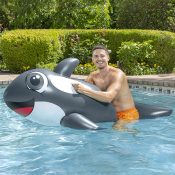 Jumbo Whale Rider