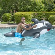 Jumbo Whale Rider
