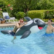 Jumbo Whale Rider