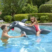 Jumbo Whale Rider