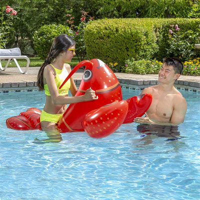 Lobster Rider - Image 8