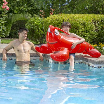 Lobster Rider - Image 2
