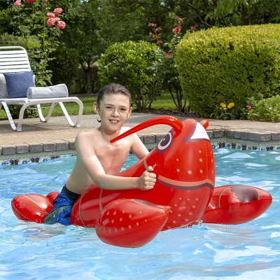 Lobster Rider - Image 4