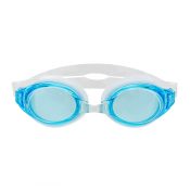 Array Sport Goggles - 24ct Display