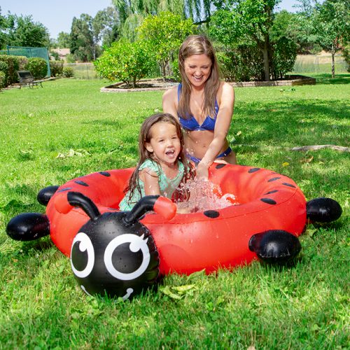 ladybug pool float