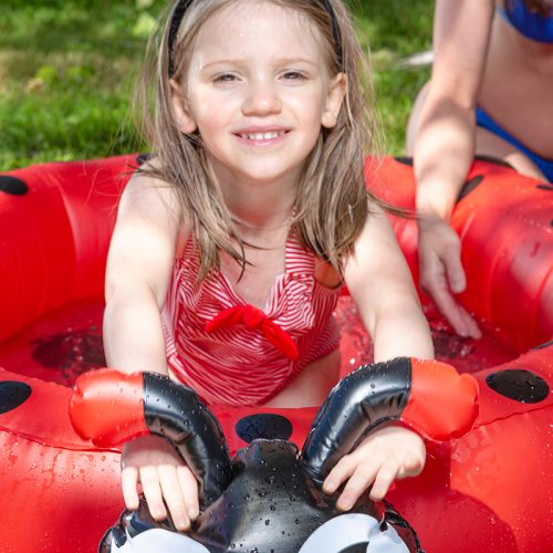 ladybug vacuum pool