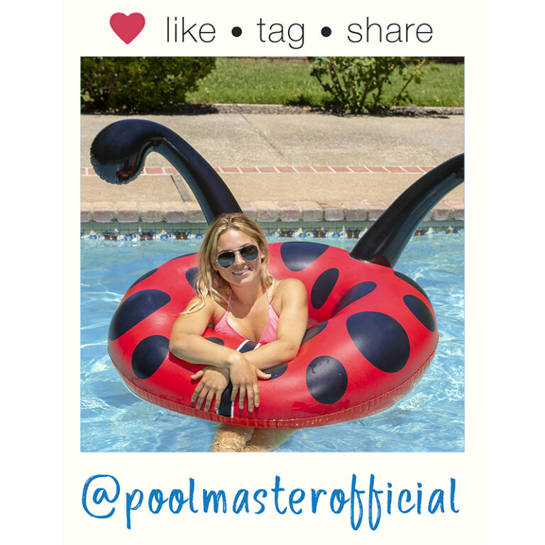 ladybug pool float