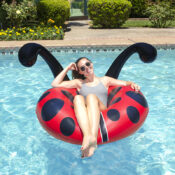 87166 | 48″ Lady Bug Party Float - Lifestyle 8