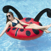 48" Lady Bug Party Float
