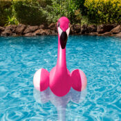 Flamingo Pool Decor