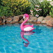 81432 | Flamingo Pool Decor Lifestyle 2