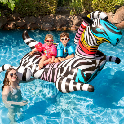 Zany Zebra Jumbo Rider - Image 4