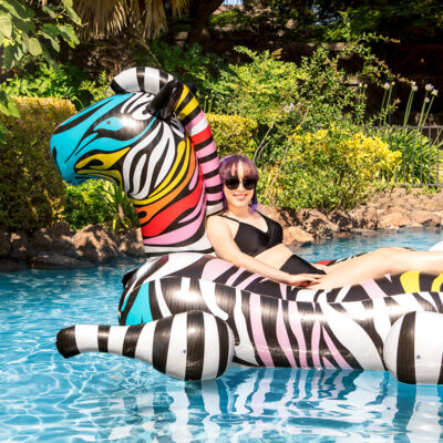 Zany Zebra Jumbo Rider - Image 3
