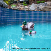 25309 LS MallardDuckTherm_TEXT_04RGB800px